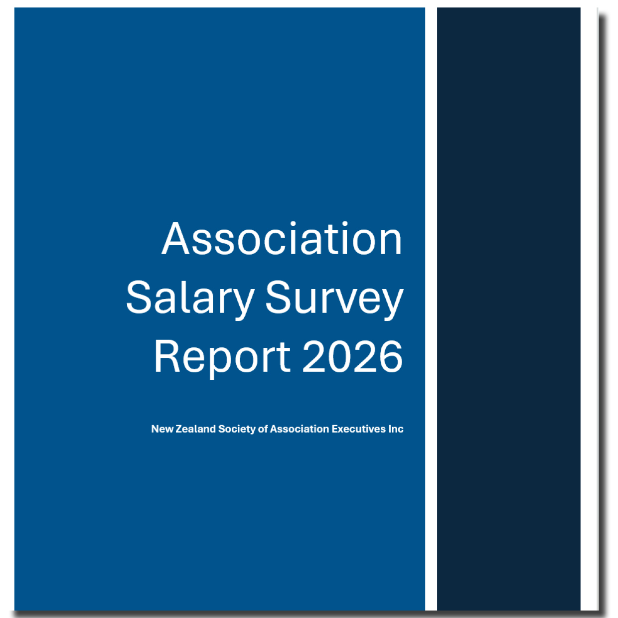 NZSAE Salary Survey 2026